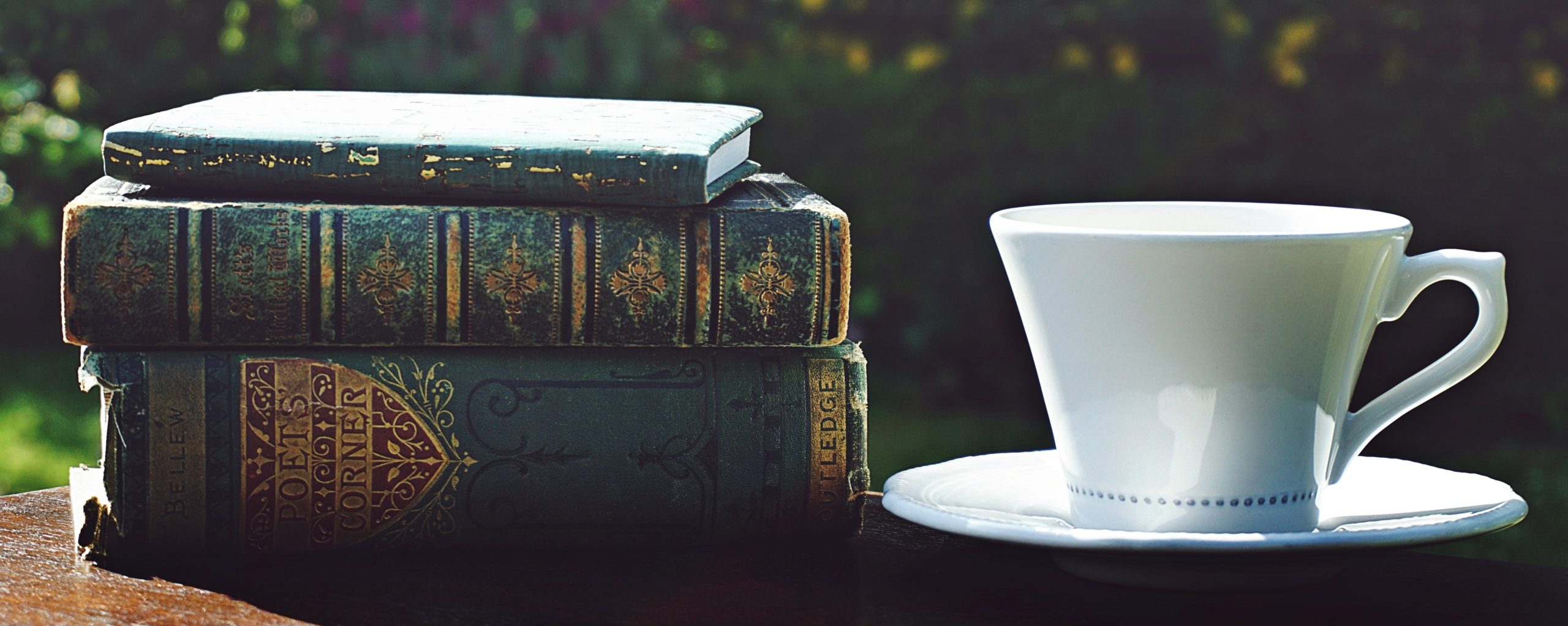 Bibliotherapy 1.1 Bibliotherapy 1.1